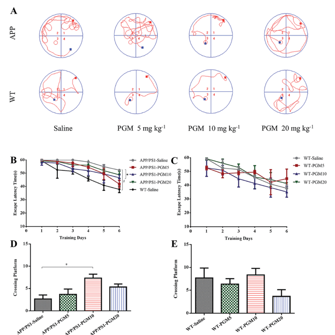 A Maitake (Grifola frondosa) polysaccharide ameliorates Alzheimer’s disease-like pathology and cognitive impairments