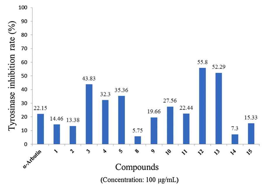 Anti-aging potential, anti-tyrosinase and antibacterial activities of extracts and compounds isolated from Rosa chinensis cv. ‘JinBian’