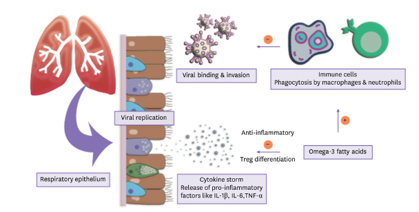 Omega-3 fatty acids could play a role as a healthier choice of supplement during the COVID-19 pandemic situation