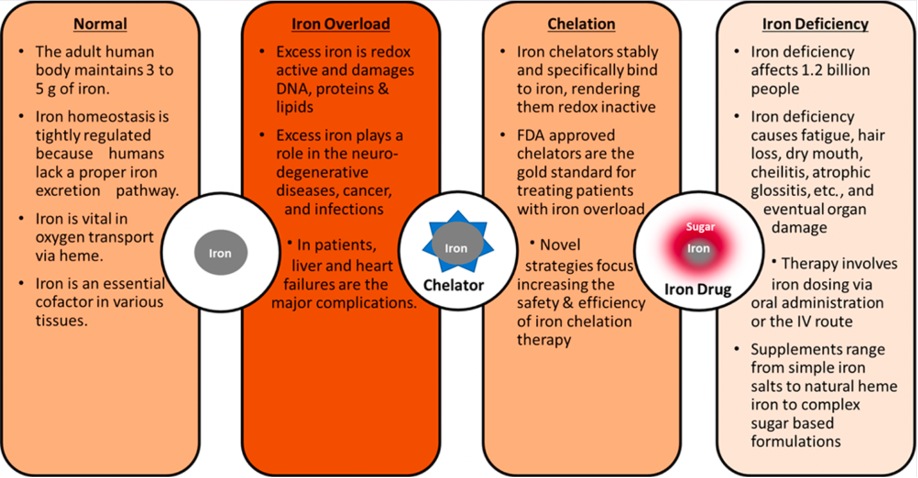 Role of iron in the molecular pathogenesis of diseases and therapeutic opportunities