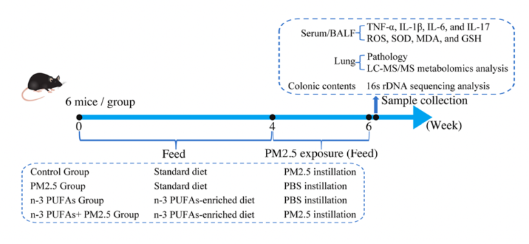 Supplementary Omega-3 PUFAs showed effectiveness in attenuation of PM2.5-induced lung injury
