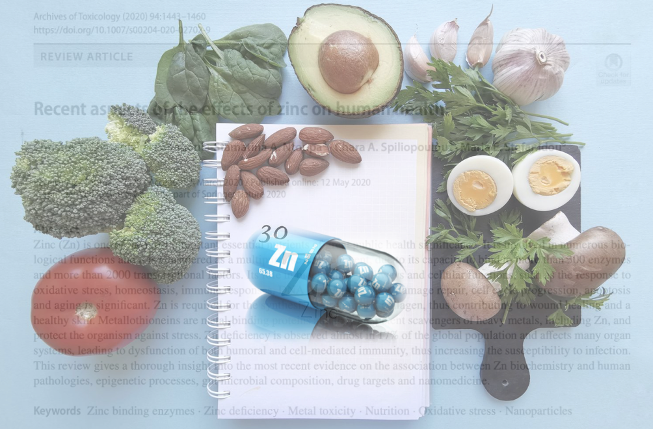 The effects of zinc on human health