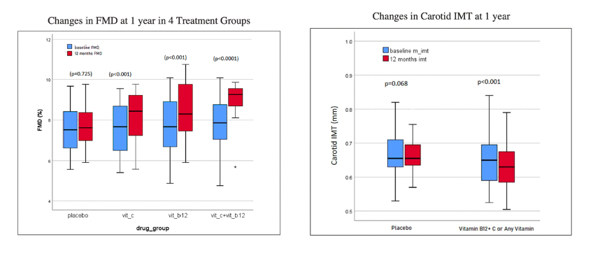 Vitamins B12 and C supplementation improves arterial reactivity and structure in passive smokers